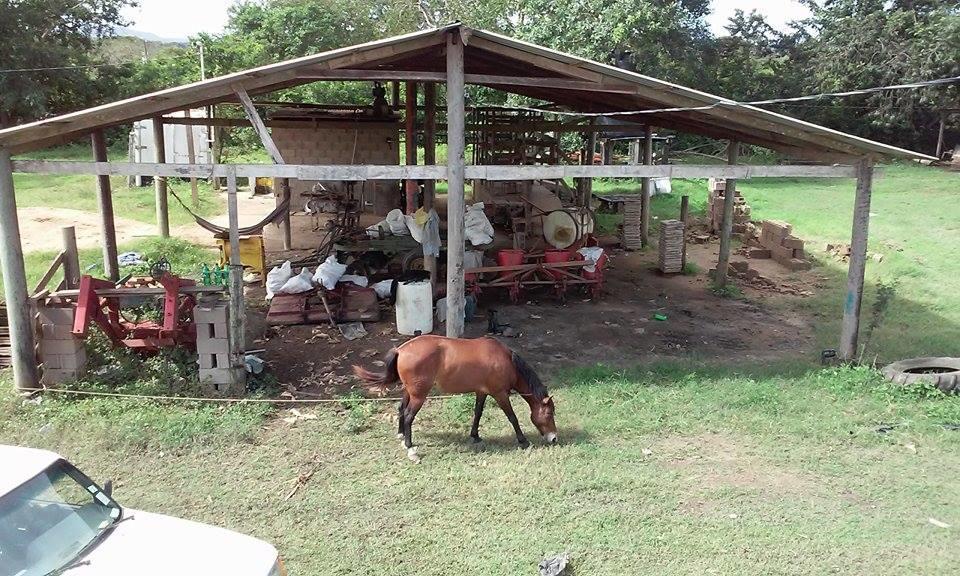 Don Santiago Guesthouse Downtown San Ignacio Eksteriør bilde
