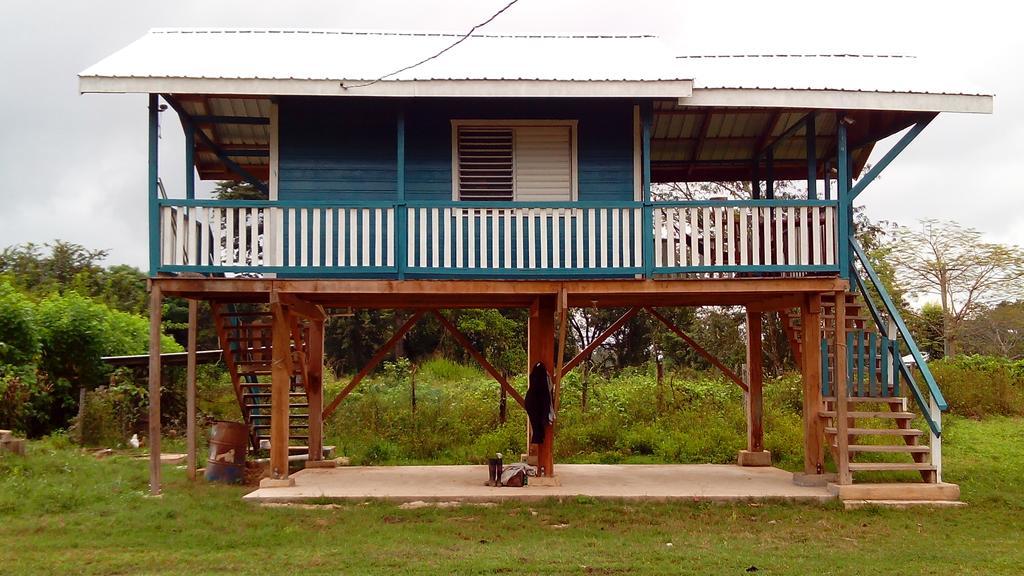 Don Santiago Guesthouse Downtown San Ignacio Eksteriør bilde