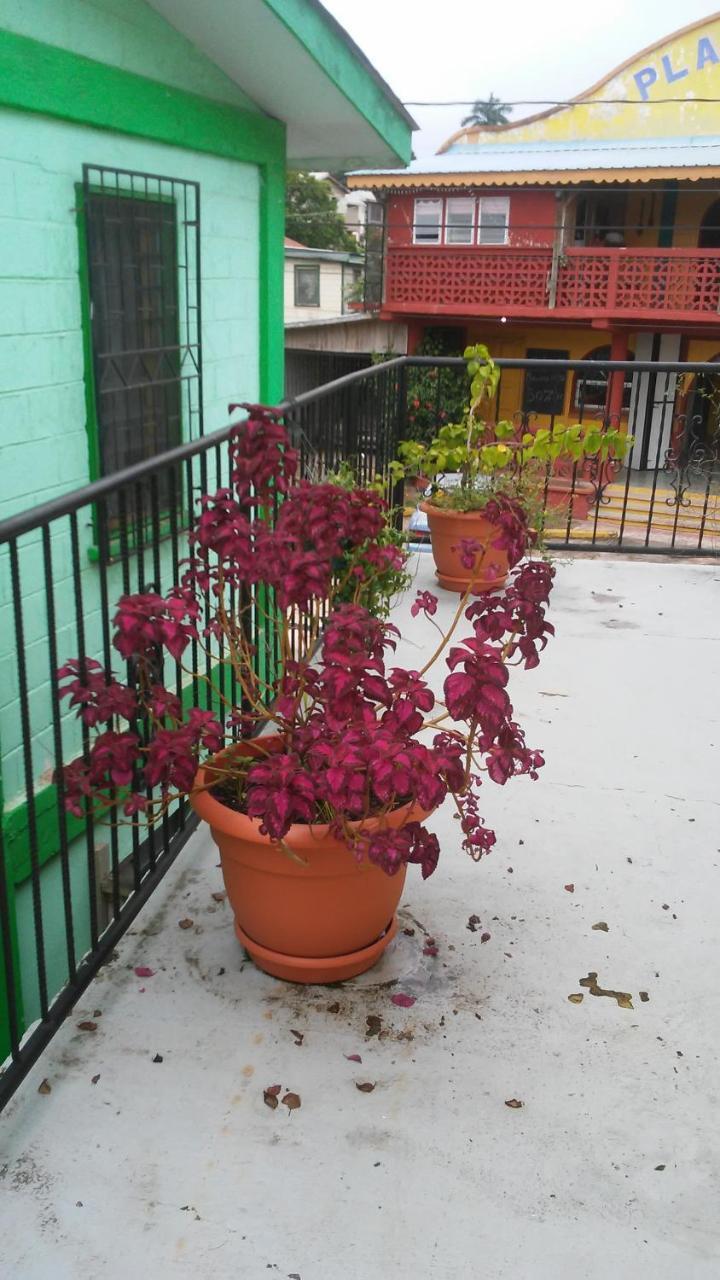 Don Santiago Guesthouse Downtown San Ignacio Eksteriør bilde